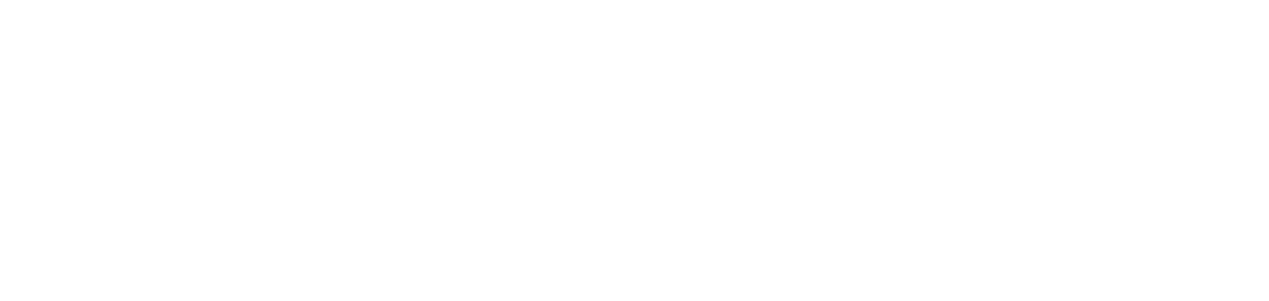 WhiteScale Digital Logo